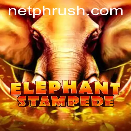 Discovering the World of ElephantStampede: A Thrilling Adventure with PHRush
